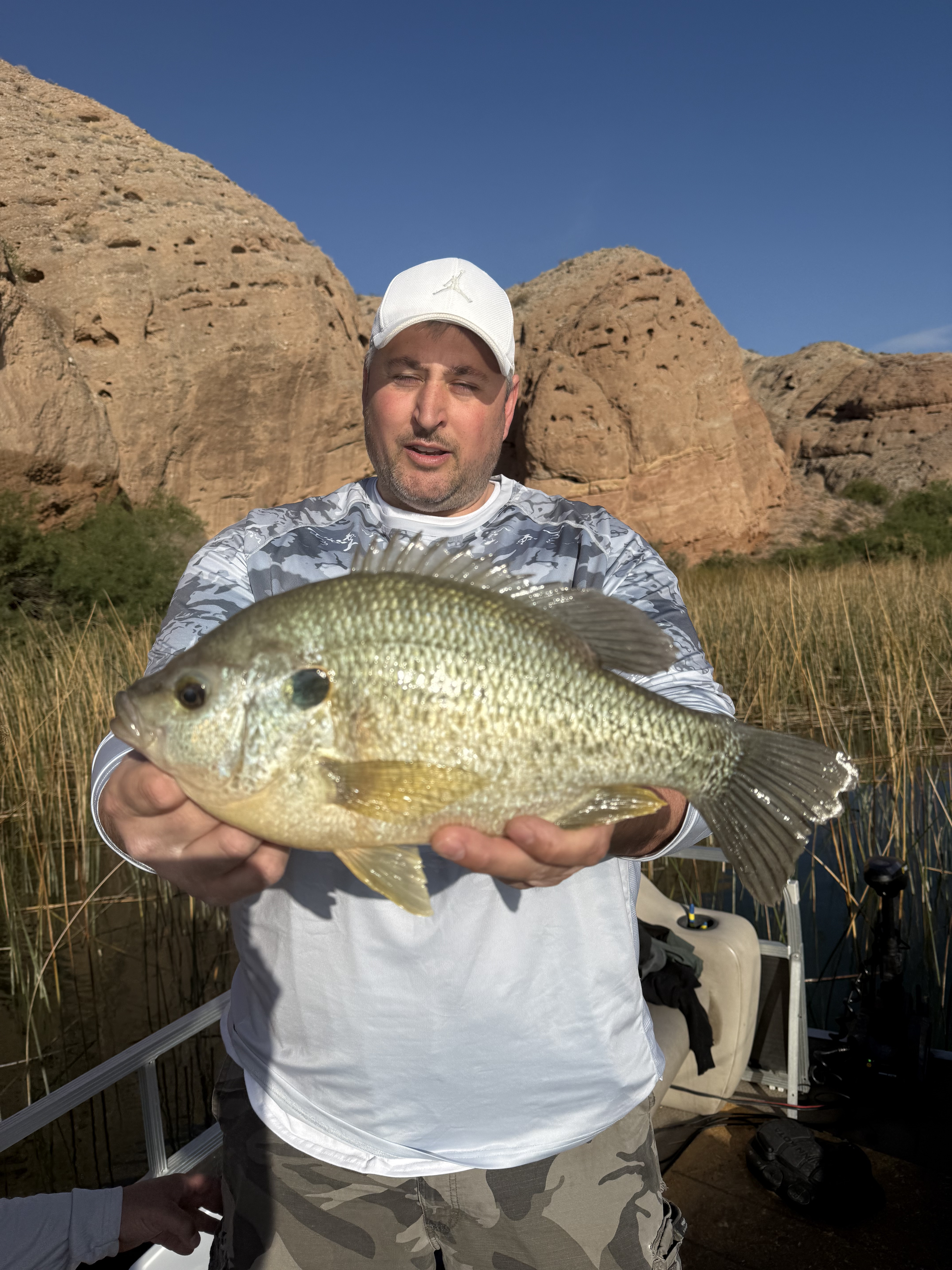 Angler holding a redear sunfish near shoreline reeds